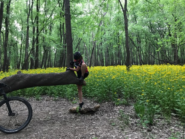 Bangert climbing tree