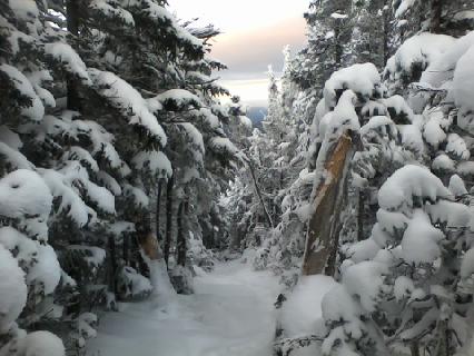 White Mountain 1